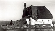 Die zerstörte Neu-Peters-Warft auf Langeneß nach der Sturmflut 1962 © Nordseemuseum Husum 