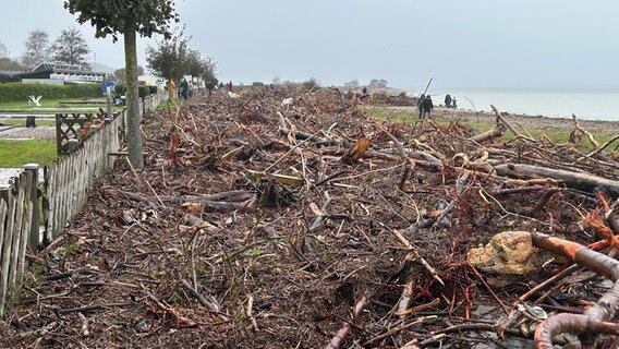 Westerholz: Nach einem Sturmtief ist ein Weg vollständig unter Bäumen und Ästen begraben. © NDR Foto: von Possel