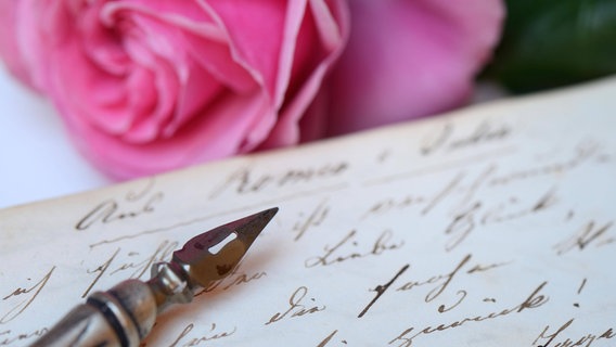 Auf einem alten aufgeschlagenen Buch stehen handschriftliche Notizen und ein Füller liegt darauf und im Hintergrund liegt eine Rose. © imago images / imagebroker 