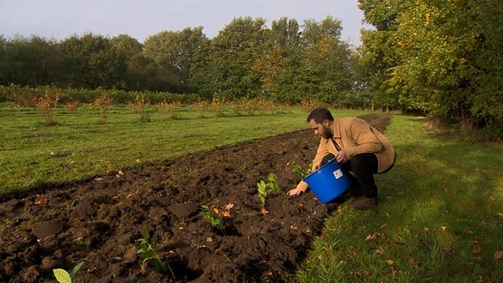 Ein Mann pflanzt Tee in die Erde. © NDR 