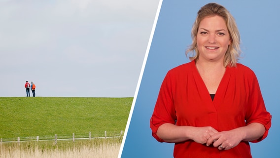 Eine Bild-Collage zum Thema Deiche. © picture alliance/dpa | Frank Molter / NDR Foto: picture alliance/dpa | Frank Molter / NDR