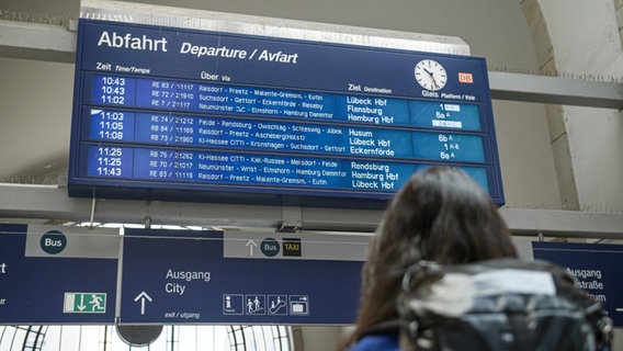 Reporterin Lisa steht mit dem Rücken zur Kamera und schaut in der Kieler Bahnhofshalle hoch auf die Anzeigetafel. Um 11:03 geht ein Zug nach Husum. © NDR Foto: Dominik Dührsen