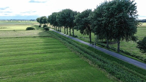 Eine Landstraße mit Bäumen auf der einen Seite. Auf der Straße sind zwei Personen auf Fahrrädern zu sehen. Das Bild wurde von Oben fotografiert. © NDR Foto: Dominik Dührsen