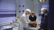 Ein Hund wird in einer Tierarztpaxis behandelt. © NDR 