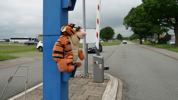 Ein Stofftiger hängt an einem Pfahl an der Pforte in Jagel. © NDR Foto: Peer-Axel Kroeske