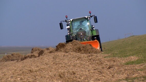Ein Traktor fährt über einen Deich und räumt Funde im Kaiser-Wilhelm Koog. © NDR 