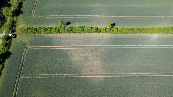 Eine Drohnenaufnahme eines Feldes in Schleswig-Holstein. Eine Drohnenaufnahme eines Feldes in Schleswig-Holstein. © NDR