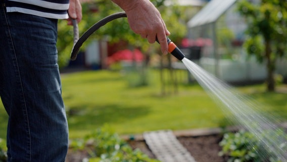 Eine Person bewässert ein Beet mit einem Gartenschlauch © NDR 
