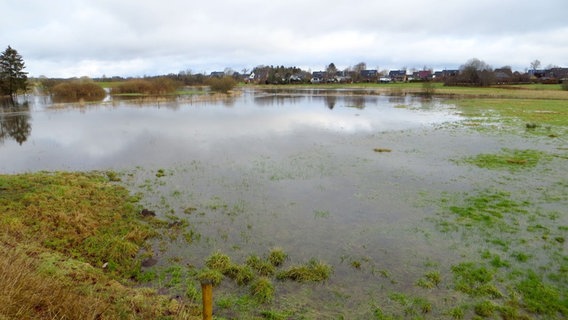 Die Treene ist durch den starken Regen über die Ufer getreten. © NDR Foto: Peer-Axel Kroeske