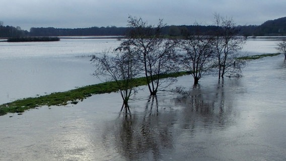 Überflutete Wiesen sind bei Rosdorf in der Nähe von Kellinghusen (Schleswig-Holstein) zu sehen (Foto mit Drohne aufgenommen). Die Stör ist hier über die Ufer getreten und hat die angrenzenden Wiesen und Felder unter Wasser gesetzt Überflutete Wiesen sind bei Rosdorf in der Nähe von Kellinghusen (Schleswig-Holstein) zu sehen (Foto mit Drohne aufgenommen). Die Stör ist hier über die Ufer getreten und hat die angrenzenden Wiesen und Felder unter Wasser gesetzt © picture alliance/dpa Foto: Carsten Rehder