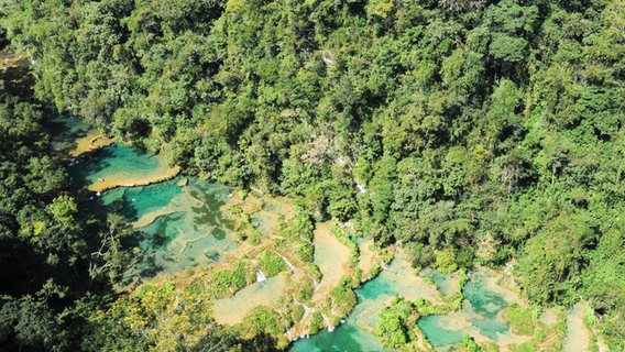 Blick auf den Urwald Guatemalas von oben (Semuc Champey) © picture alliance / prisma | Ember Stefano Foto: Ember Stefano