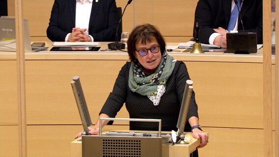 Eka von Kalben (Bündnis 90/Die Grünen) am Pult im Plenarsaal des Landeshauses in Kiel. © NDR 