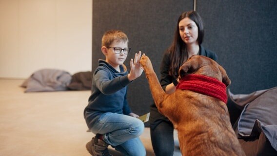 Ein Hund gibt einem Jungen die Pfote. © NDR Foto: Lisa Pandelaki