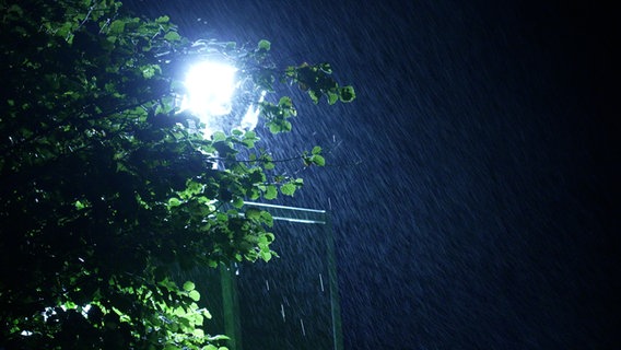 Regen vor einer Straßenlaterne und einem Baum. © NDR Foto: Christoph Klipp