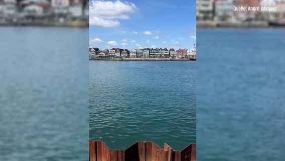 Ein Blick auf die Lübecker Bucht © NDR Foto: NDR Screenshot