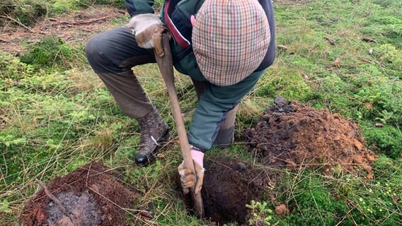 Eine Person gräbt auf einer Wiese ein Loch. © NDR Foto: Corinna Below