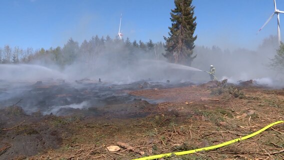 Einsatzkräfte der Feuerwehr löschen einen Waldbrand.  