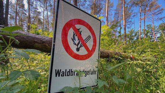 Ein Warnschild in einem Wald weist auf Waldbrandgefahr hin © picture alliance Foto: Julian Stratenschulte