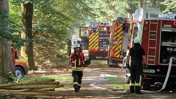 Einsatzkräfte der Feuerwehr und des THW üben Bekämpfung von Waldbränden in einem Wald im Kreis Segeberg. © NDR Foto: Oliver Kring
