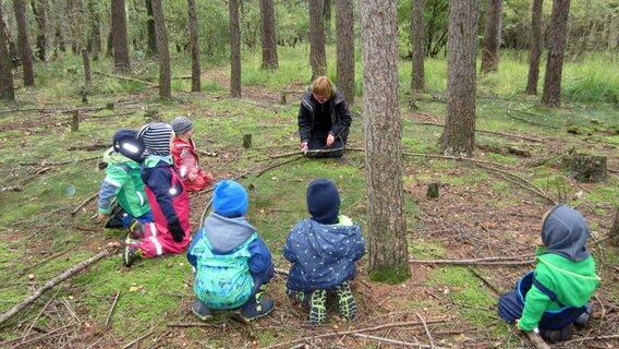 Eine Kindergartengruppe sitzt im Wald auf dem Boden im Kreis © NDR Foto: Nadine Gräser