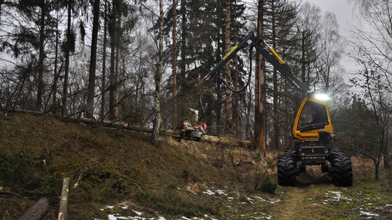 Ein Harvester zerteilt Baumstämme. © NDR Foto: Peter Bartelt