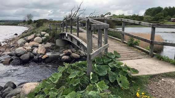 Eine kleine Holzbrücke führt über einen Bach. © NDR Foto: Nils hansen