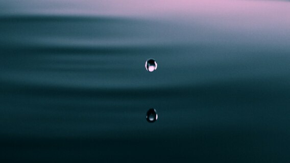 A drop of water falls on a water surface.  © NDR 