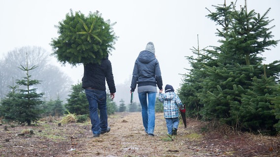 Eine junge Familie trägt einen selbst geschlagenen Weihnachtsbaum zur Kasse. © picture alliance / dpa Foto: Christin Klose