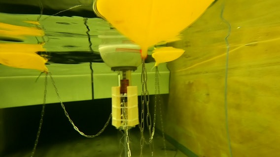 In einem künstlichen Wasserbecken wird ein Wellenkraftwerk simuliert.  Foto: Caro Rabe