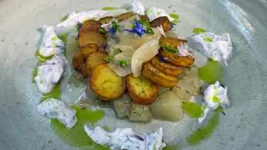 Auf einem Teller ist Schmorgurke mit gebratenen Kartoffeln, Zwiebel und Radieschenjoghurt angerichtet. © NDR 