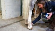 Eine Reiterin kniet bei ihrem Pferd und hält eine große Dose in ihrer Hand. © NDR Foto: Samir chawki