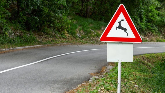 Ein Verkehrsschild warnt vor Wild auf der Straße Ein Verkehrsschild warnt vor Wild auf der Straße © Imago/ Panthermedia