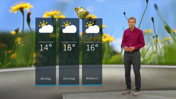 NDR Moderator Meeno Schrader steht im Studio mit der Wettervorhersage. © NDR 