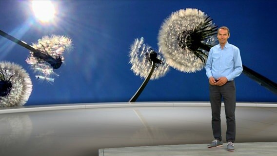 NDR Moderator Meeno Schrader steht im Studio mit der Wettervorhersage. © NDR 
