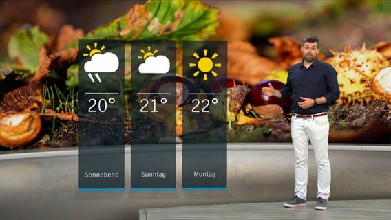 Wetterexperte Sebastian Wache steht im Studio mit der Wettervorhersage. © NDR 