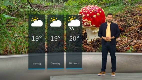 Wetterexperte Sebastian Wache steht im Studio mit der Wettervorhersage. © NDR 