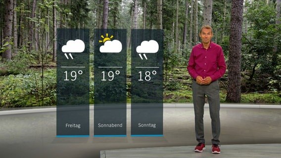 Wetterexperte Meeno Schrader steht im Studio mit der Wettervorhersage. © NDR 