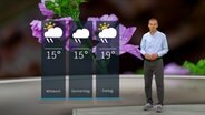 Wetterexperte Meeno Schrader steht im Studio mit der Wettervorhersage. © NDR 