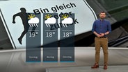 Wetterexperte Sebastian Wache steht im Studio mit der Wettervorhersage. © NDR 