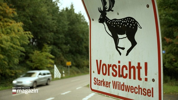 Ein Straßenschild warnt Autofahrer vor Wildwechsel. © NDR 