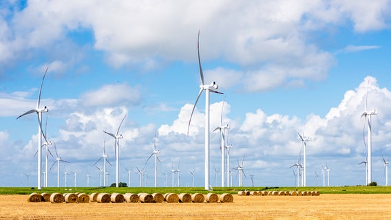 Zahlreichen Windkraftanlagen stehen auf einem Feld in Schleswig-Holstein bei strahlender Sonne leich bewölktem Himmel. © imago images / penofoto 