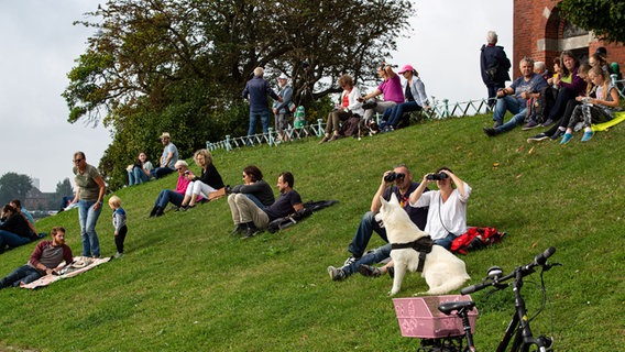 Zuschauer sitzen auf einem Rasen und beobachten die Windjammerparade auf der Kieler Förde.  Foto: Gino Laib