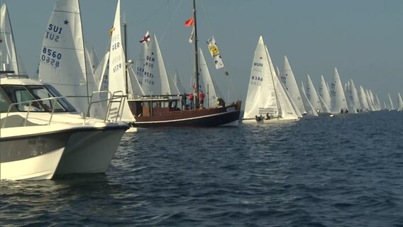 Segelschiffe fahren auf der Förde während der Kieler Woche.  
