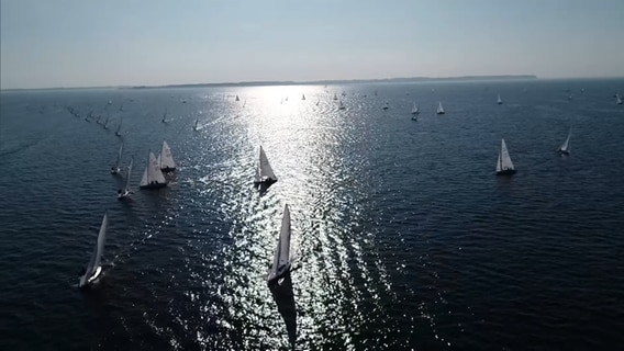 Segelschiffe fahren auf der Förde während der Kieler Woche.  