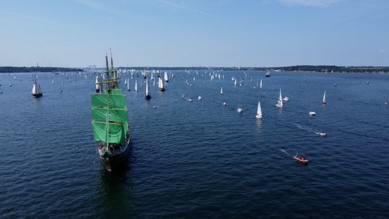 Die Windjammerparade auf der Kieler Förde 2023. © NDR 