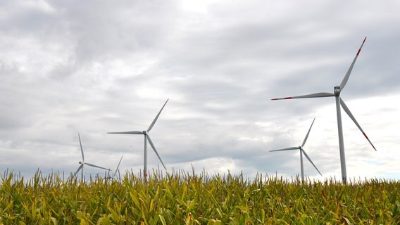 Der Blick von einem Feld aus auf einige Windräder. © NDR Foto: Peter Bartelt