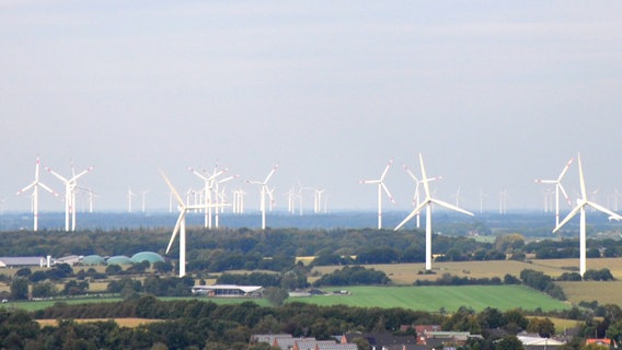 Der Blick aus mehr als 100 Metern Höhe über das Land und Meer, überall stehen Windräder. © NDR Foto: Peter Bartelt