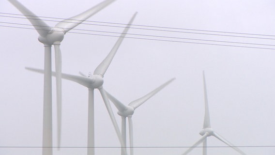 Mehrere Windräder stehen auf einem Feld. © NDR 