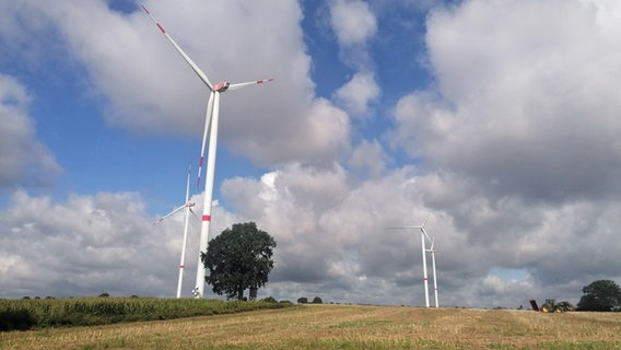 Zwischen Weizenfeldern in der Nähe von Wangelau stehen einige Windräder. © NDR Info Foto: Marc-Oliver Rehrmann