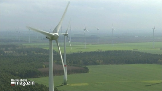 Windkrafträder stehen auf einem Feld. © NDR 